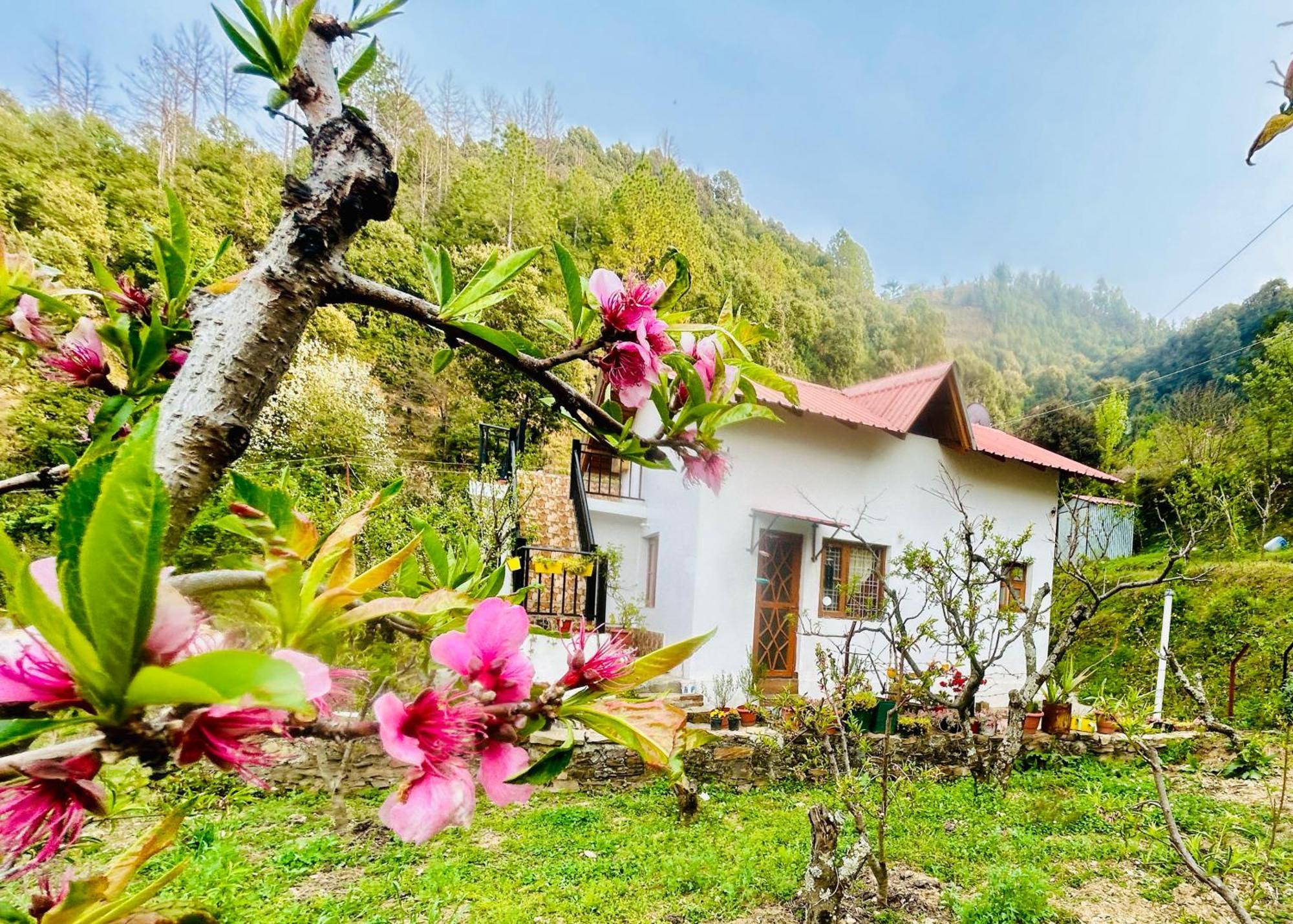Love'S Farm, Cottage In Ramgarh 외부 사진